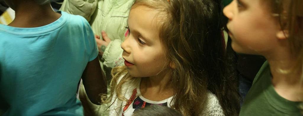 Discover — Shorewood Public Library